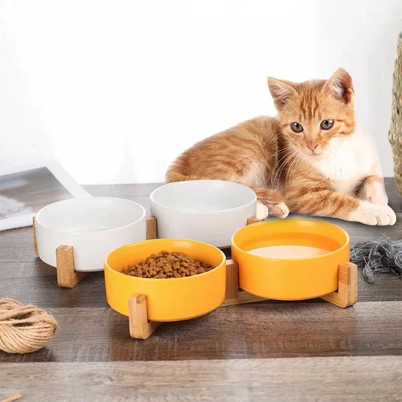 Ceramic Paw Plate