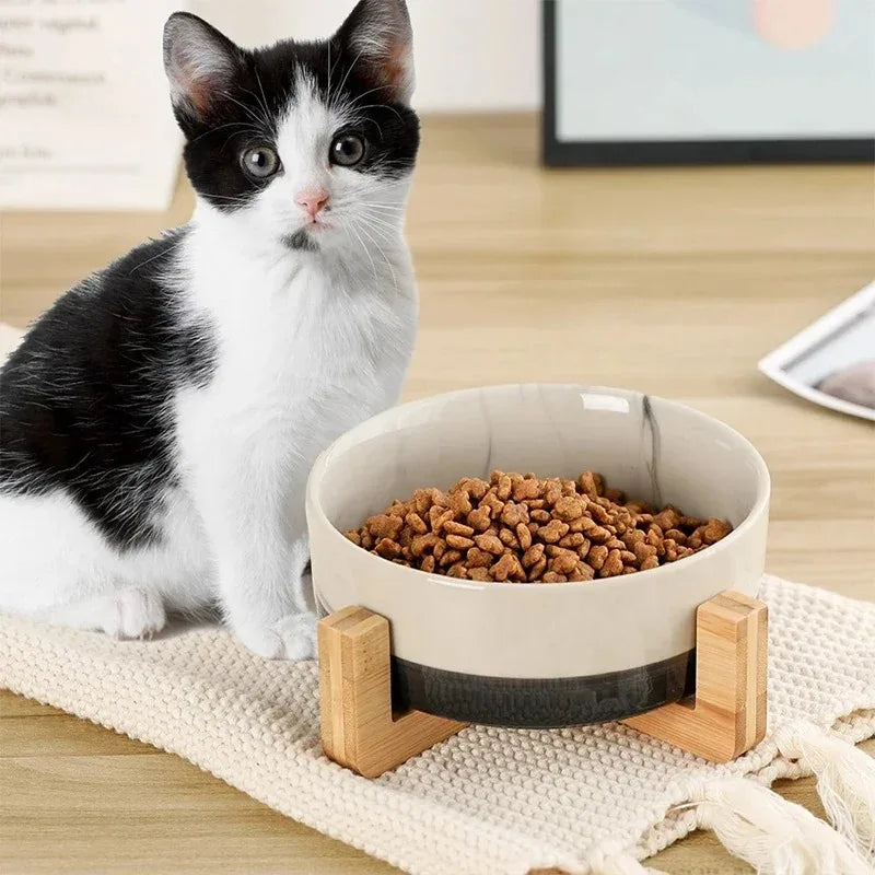 Ceramic Paw Plate